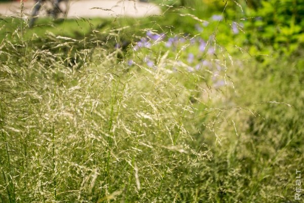 «Хочешь дешевле — сделай сам». Ландшафтный дизайнер показала свой стильный дом под Минском