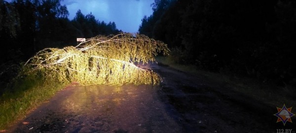 В МЧС рассказали, что натворила непогода в Брестской области