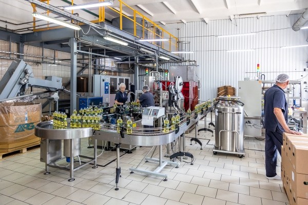 От семян до бутылки. Посмотрели, как на Брестчине делают масло из рапса От семян до бутылки. Посмотрели, как на Брестчине делают масло из рапса