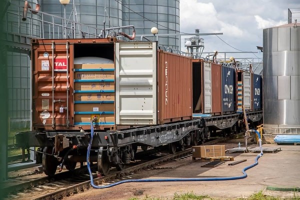 От семян до бутылки. Посмотрели, как на Брестчине делают масло из рапса От семян до бутылки. Посмотрели, как на Брестчине делают масло из рапса