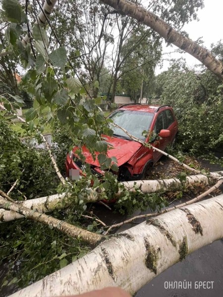 Ураганный ветер, бушевавший в Пинске, наворотил дел