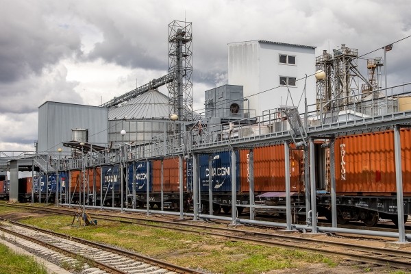 От семян до бутылки. Посмотрели, как на Брестчине делают масло из рапса От семян до бутылки. Посмотрели, как на Брестчине делают масло из рапса