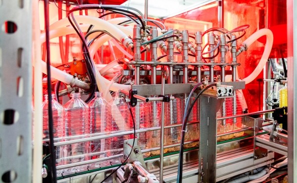 От семян до бутылки. Посмотрели, как на Брестчине делают масло из рапса От семян до бутылки. Посмотрели, как на Брестчине делают масло из рапса