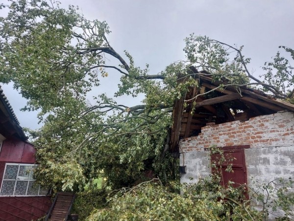 В МЧС рассказали, что натворила непогода в Брестской области