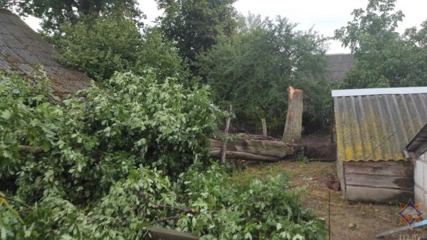 В МЧС рассказали, что натворила непогода в Брестской области