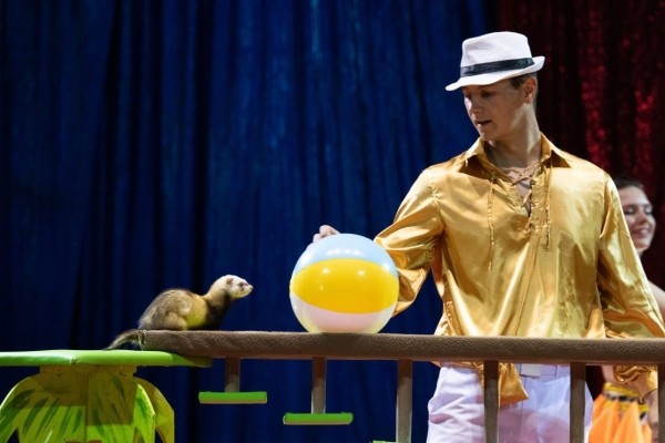 ВПЕРВЫЕ! Цирк-шапито «SIRIUS» представит в Бресте новое экстрим-шоу «Колумбийский форсаж»