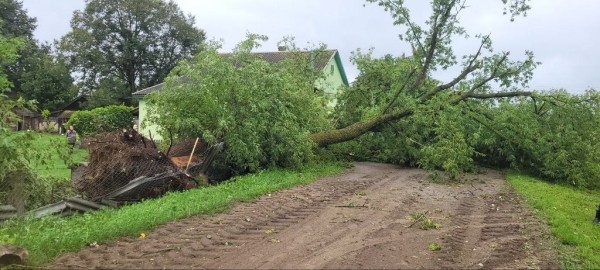 В МЧС рассказали, что натворила непогода в Брестской области