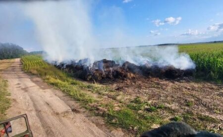 В Барановичском районе огнем уничтожено почти 60 тонн соломы