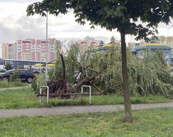 Ураганный ветер, бушевавший в Пинске, наворотил дел