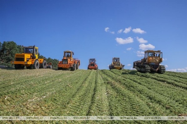 В Малоритском районе довольны урожаем кукурузы