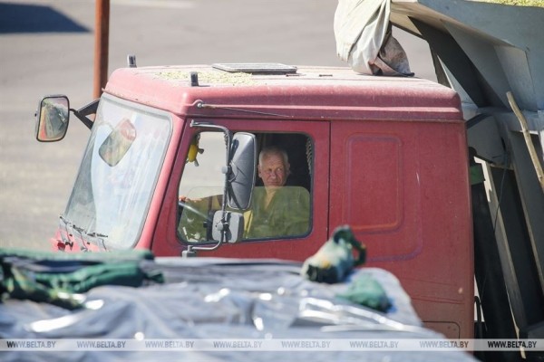 В Малоритском районе довольны урожаем кукурузы