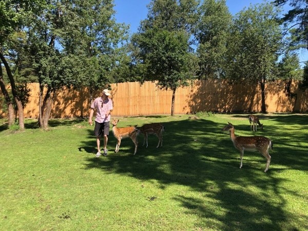 Завели «Москвич-412» и поехали! Белорусы рассказали, как преодолели 1 300 км на раритете и нигде не сломались