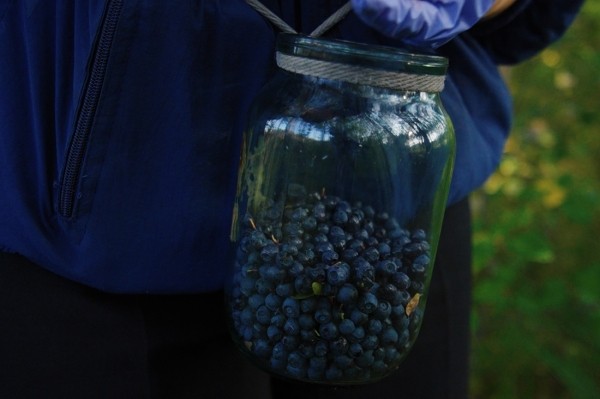 Заработала на чернике, чтобы купить iPhone 13 — девушка из Кобринского района рассказала, чем занимается и о чем мечтает Заработала на чернике, чтобы купить iPhone 13 — девушка из Кобринского района рассказала, чем занимается и о чем мечтает