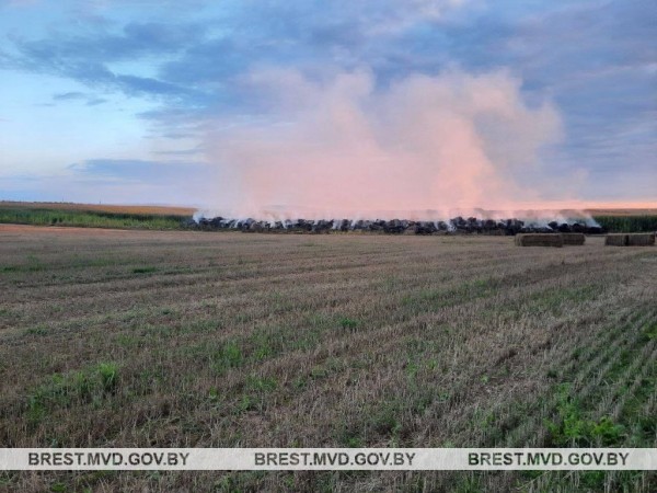 В Барановичском районе поджигатель пойман с поличным