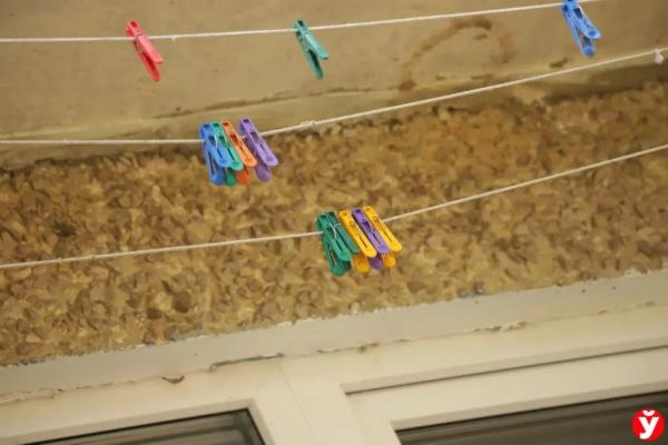 В три года весил 7 кг и спал в углу, как собака. Стали известны подробности о семье, в которой родители убили своего сына в Слуцке В три года весил 7 кг и спал в углу, как собака. Стали известны подробности о семье, в которой родители убили своего сына в Слуцке