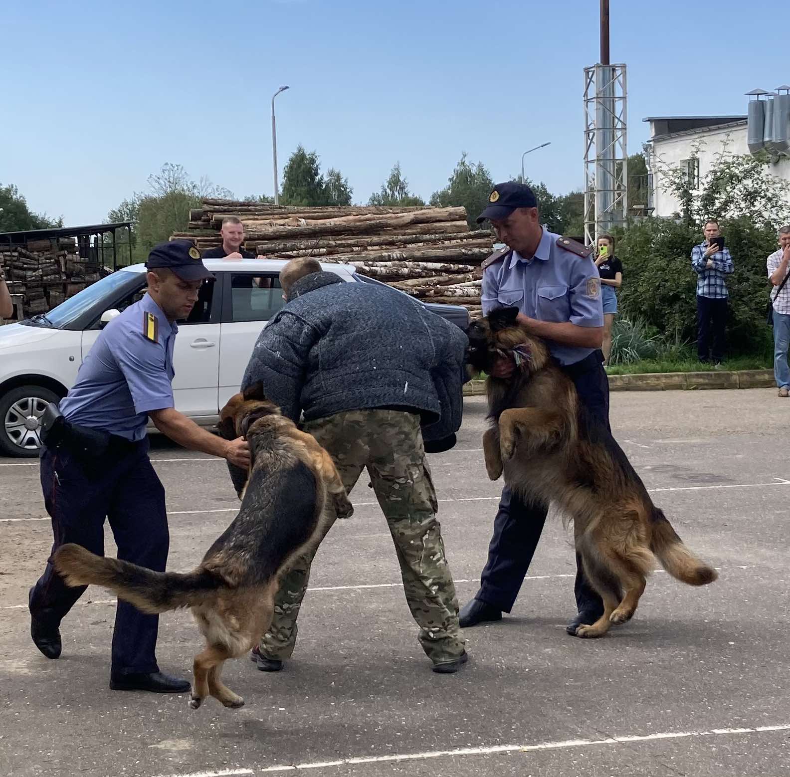Витебскому приюту для животных «Добрик» — 12 лет