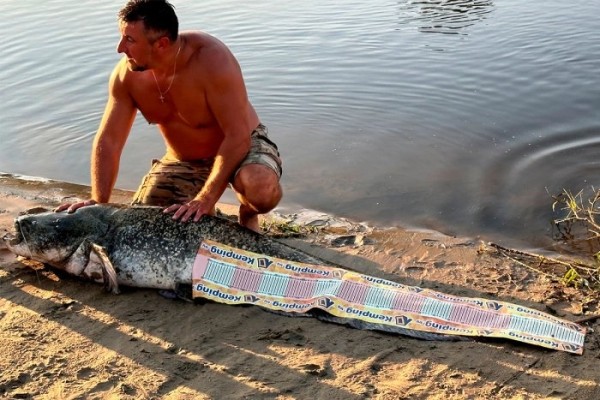 Белорус поймал на Припяти рекордного сома более 2 м в длину Белорус поймал на Припяти рекордного сома более 2 м в длину