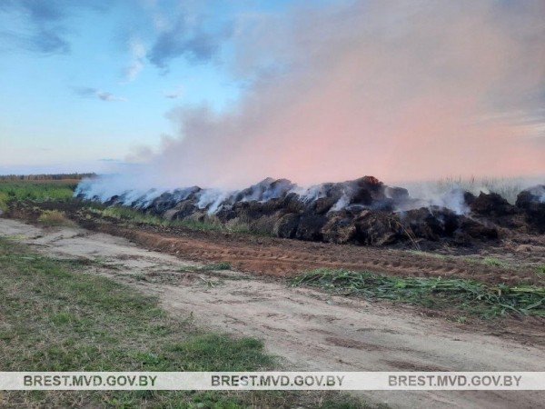 В Барановичском районе поджигатель пойман с поличным