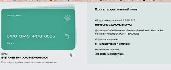 Витебскому приюту для животных «Добрик» — 12 лет