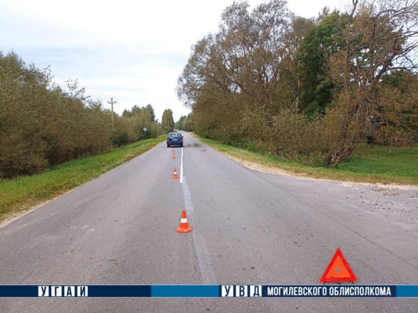 Пешеход шагнул навстречу автомашине и погиб в Могилевском районе