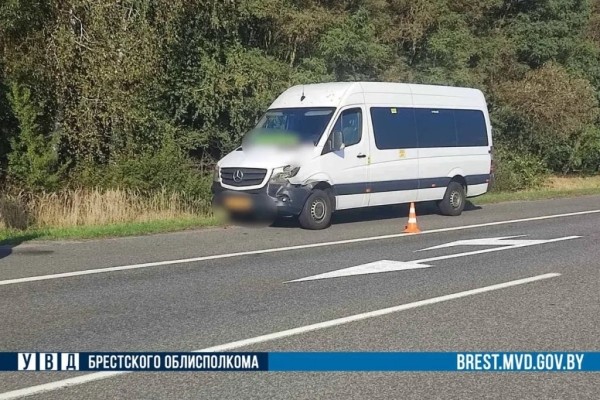 Маршрутка сбила оленя на трассе М1 в Жабинковском районе Маршрутка сбила оленя на трассе М1 в Жабинковском районе
