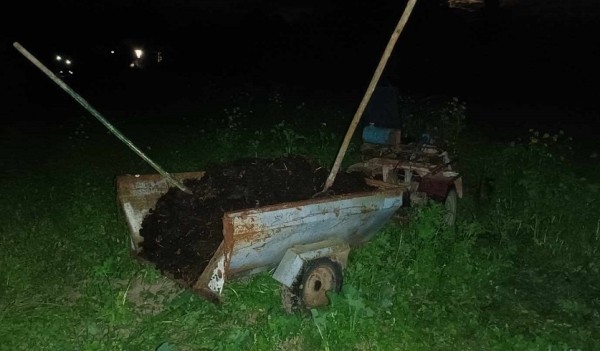 Дедушка перевозил внуков в прицепе к трактору, один из них не удержался и погиб. СК рассказал подробности