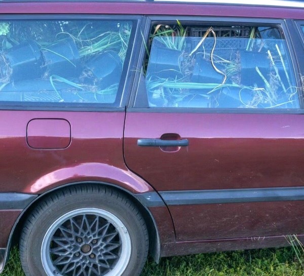 Брестчанин превратил VW Passat (B4) в «кветкамобиль»