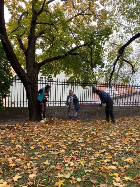 В Бресте в рамках месячника по благоустройству стартовала акция «Марафон чистоты»