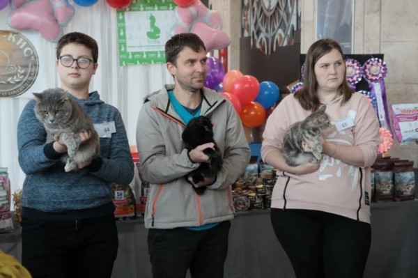 Выставка кошек в Бресте. Познакомился с бамбино, и кто такие полидакты? Выставка кошек в Бресте. Познакомился с бамбино, и кто такие полидакты?