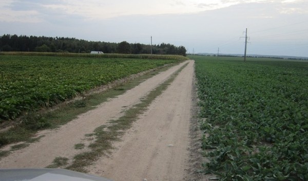 Дедушка перевозил внуков в прицепе к трактору, один из них не удержался и погиб. СК рассказал подробности