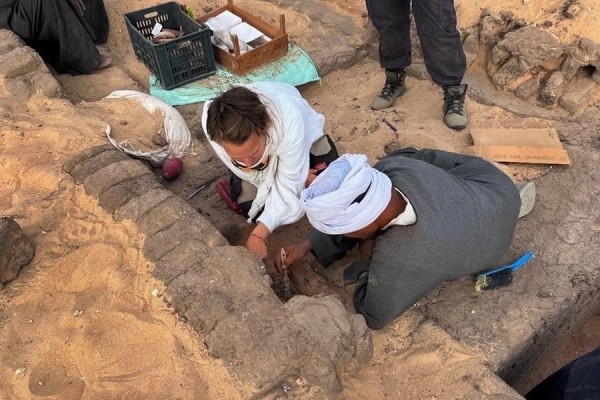 В Египте обнаружили кувшины с вином 5000-летней выдержки