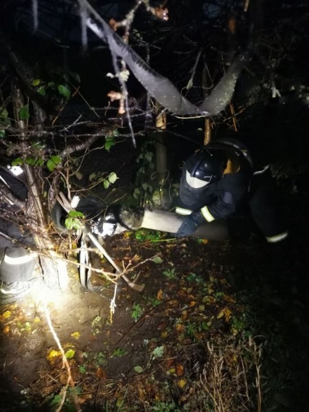 Брестские спасатели помогли собаке, которая застряла в трубе