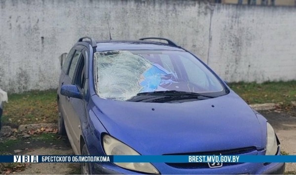 В Лунинецком районе сбили пешехода. Водитель скрылся с места ДТП В Лунинецком районе сбили пешехода. Водитель скрылся с места ДТП