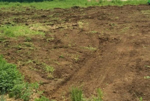 За 140 тысяч рублей продан участок в Бресте За 140 тысяч рублей продан участок в Бресте