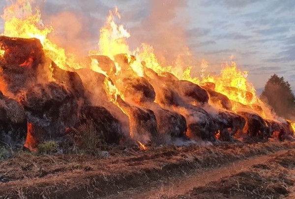 Житель Брестской области из мести сжег 127 тонн соломы двух сельхозпредприятий
