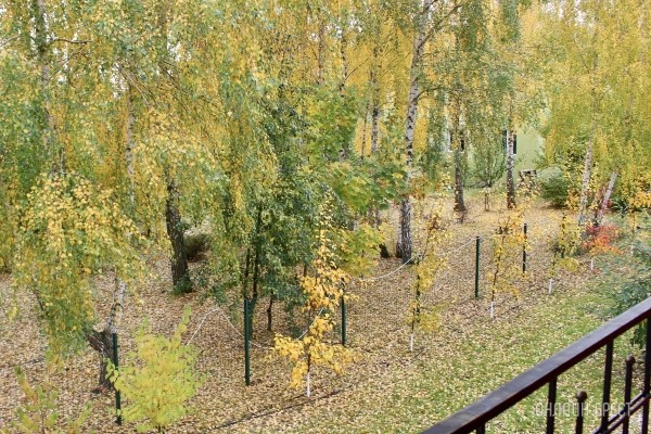 Запланируйте семейный отдых на антуражной вилле с бассейном и рестораном недалеко от Бреста. Аренда номеров, празднование торжеств в Villa Boutique Hotel Запланируйте семейный отдых на антуражной вилле с бассейном и рестораном недалеко от Бреста. Аренда номеров, празднование торжеств в Villa Boutique Hotel