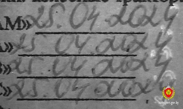 Белорус сам себе «увеличил» срок действия справки на пять лет Белорус сам себе «увеличил» срок действия справки на пять лет