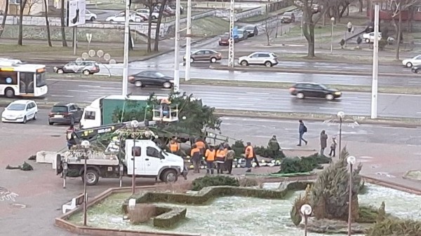 В Бресте упала новогодняя елка В Бресте упала новогодняя елка