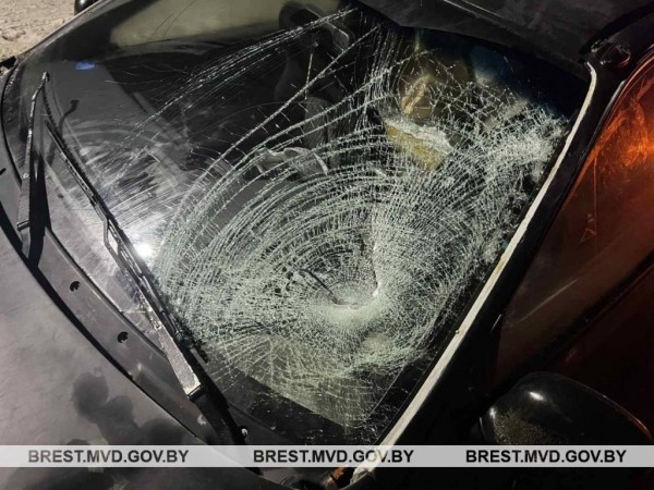В Бресте пешехода сбила Honda В Бресте пешехода сбила Honda