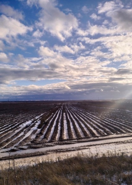 В Беларуси нашли поле со 150 тоннами неубранной картошки В Беларуси нашли поле со 150 тоннами неубранной картошки