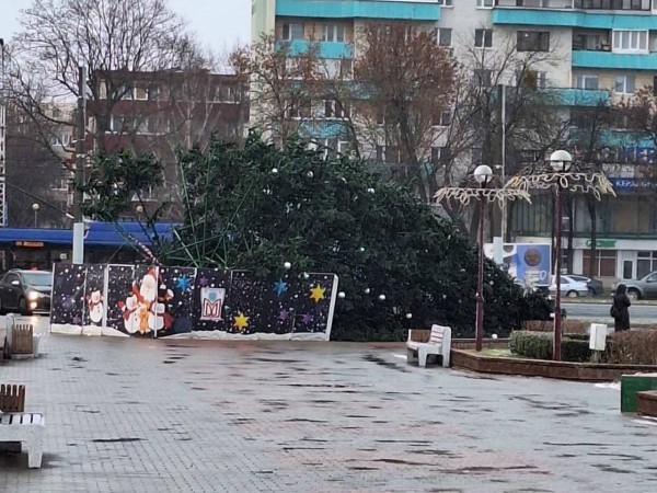 В Бресте упала новогодняя елка В Бресте упала новогодняя елка