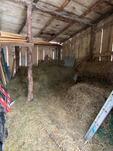 В Бресте у аттракционов в Парке воинов-интернационалистов находится небольшой зооуголок. Как проходит зимовка? В Бресте у аттракционов в Парке воинов-интернационалистов находится небольшой зооуголок. Как проходит зимовка?