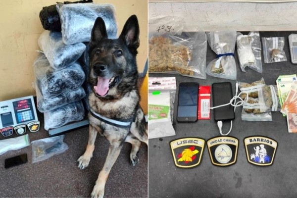 В Испании из-за марихуаны и гашиша задержали белоруса В Испании из-за марихуаны и гашиша задержали белоруса