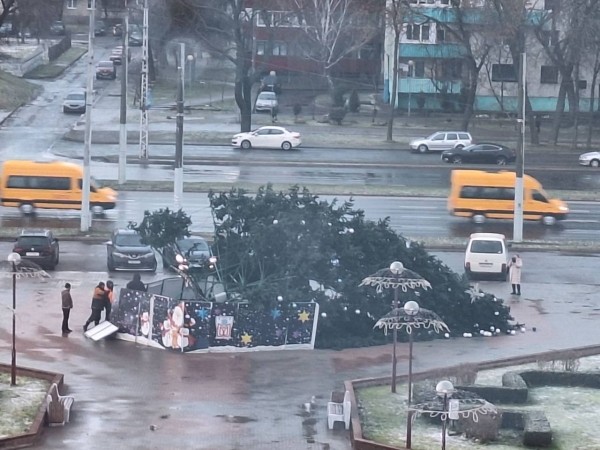 В Бресте упала новогодняя елка В Бресте упала новогодняя елка