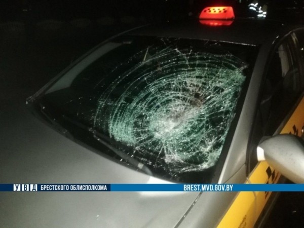 В Кобрине и Столине. На Брестчине произошло два ДТП с участием пешеходов