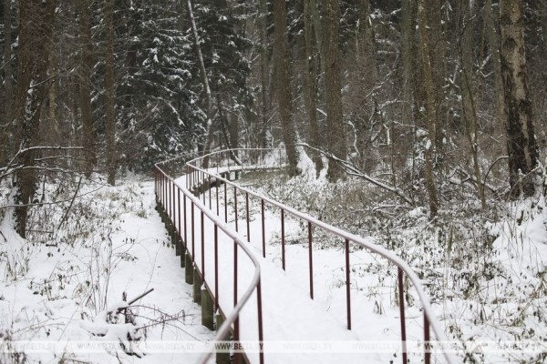 Партизанский Дед Мороз всю зиму будет принимать гостей в Ивацевичском районе