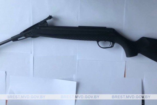 Брестчанин похитил пневматическую винтовку у своего знакомого