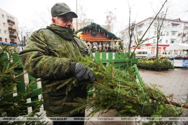 В Бресте заработали елочные базары