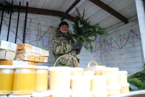 В Бресте заработали елочные базары