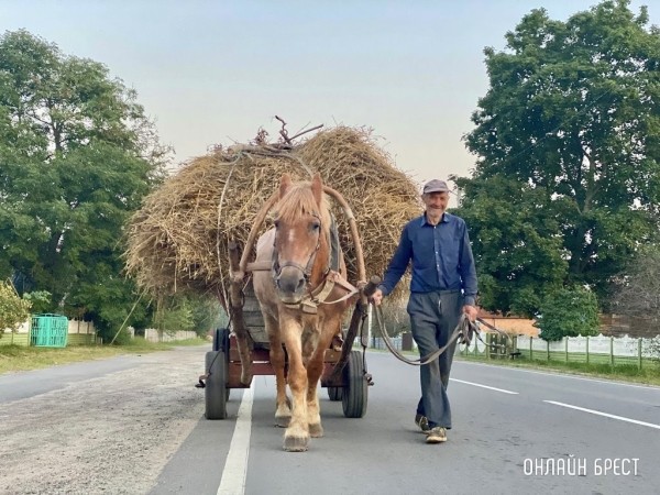В Минтруда Беларуси рассказали, где больше всего долгожителей В Минтруда Беларуси рассказали, где больше всего долгожителей